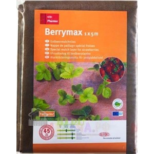 Geowłóknina Berrymax 1x5m (5m2)