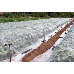 Agrowłóknina przeciwmrozowa, 17 g/m2, 1,6 x 5 m (8 m2)
