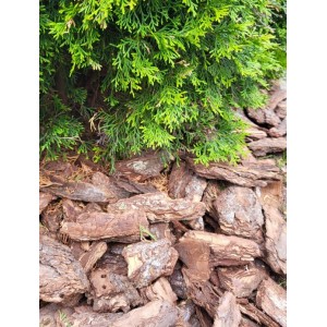 Ściółka z kory sosnowej Premium 60/120 mm. 50l 