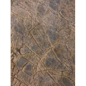 Fornir kamienny Rainforest Brown 265x125 cm, (1szt. 3,31m2)